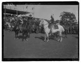 "Rei D. Carlos no hipódromo; juramento de bandeira."