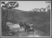 Coluna militar a cavalo.