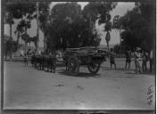 "Meios de transporte dos colonos".