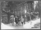 Cavalos a transportarem material em zona com neve.