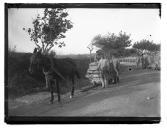 "Campo Entrincheirado de Lisboa."