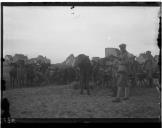 Militares junto a veículos de tracção animal.