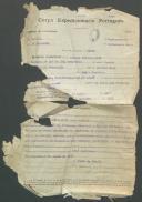 Manuel António Luís - Soldado - 12ª. Compª. Regimento de Infantaria nº. 4
