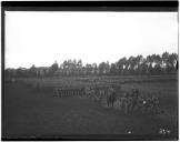 "Desfile na grande parada de Montalvo".