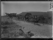 "Passeios nos arrecadores do Lubango".