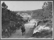 Coluna militar a cavalo.