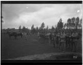 "Desfile na grande parada de Montalvo".