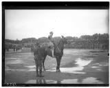 Prova desportiva militar - Oficial a cavalo.