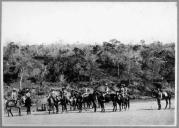 Grupo de militares a cavalo.