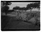 "Campo Entrincheirado de Lisboa."