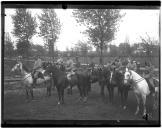 "Desfile na grande parada de Montalvo".