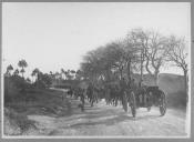 Coluna militar a cavalo e em viaturas de tracção animal.