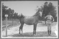 Tratador com cavalo de cor clara, identificado com o número 69.