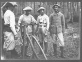 Preparação de madeira de árvores abatidas.