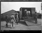 Transporte de cavalo em viatura automóvel.