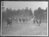 Coluna militar a cavalo.