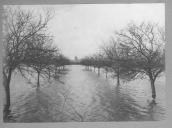 Zona inundada.