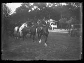 "Oficiais no hipódromo."