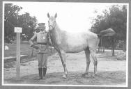 Tratador com cavalo de cor clara, identificado com o número 34.