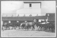 Cavalos junto a estábulo.