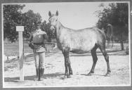 Tratador com cavalo de cor clara, identificado com o número 25.