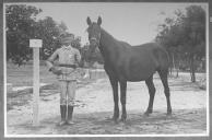 Tratador com cavalo de cor escura, identificado com o número 37.