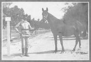 Tratador com cavalo de cor escura, identificado com o número 1.