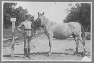 Tratador com cavalo de cor clara, identificado com o número 10.