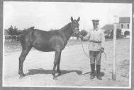 Tratador com cavalo de cor escura, identificado com o número 56.