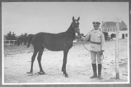 Tratador com cavalo de cor escura, identificado com o número 51.