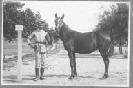 Tratador com cavalo de cor escura, identificado com o número 22.