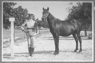 Tratador com cavalo de cor escura, identificado com o número 23.