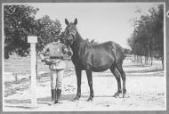 Tratador com cavalo de cor escura, identificado com o número 21.