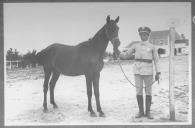 Tratador com cavalo de cor escura, identificado com o número 45.