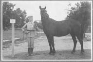 Tratador com cavalo de cor escura, identificado com o número 32.