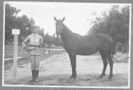 Tratador com cavalo de cor escura, identificado com o número 36.