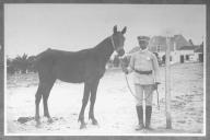 Tratador com cavalo de cor escura, identificado com o número 55.