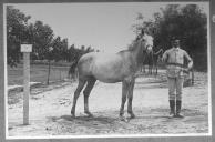 Tratador com cavalo de cor clara, identificado com o número 78.