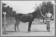 Tratador com cavalo de cor escura, identificado com o número 2.