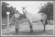 Tratador com cavalo de cor clara, identificado com o número 42.