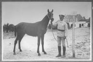 Tratador com cavalo de cor escura, identificado com o número 49.