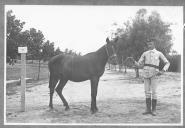 Tratador com cavalo de cor escura, identificado com o número 79.