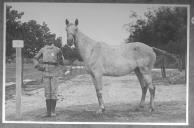 Tratador com cavalo de cor clara, identificado com o número 41.