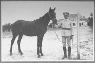 Tratador com cavalo de cor escura, identificado com o número 43.