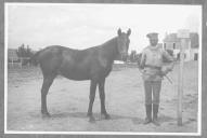 Tratador com cavalo de cor escura, identificado com o número 54.