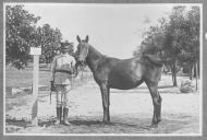 Tratador com cavalo de cor escura, identificado com o número 100.