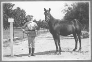 Tratador com cavalo de cor escura, identificado com o número 7.