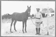 Tratador com cavalo de cor escura, identificado com o número 50.