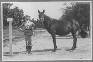 Tratador com cavalo de cor escura, identificado com o número 8.