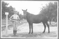 Tratador com cavalo de cor escura, identificado com o número 40.